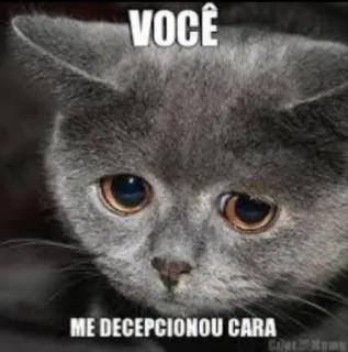 ☹️ e5a0b572 VOCÊ
ME DECEPCIONOU CARA Katze, traurig, enttäuscht, Meme telegram sticker