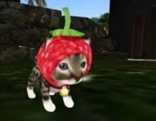 🍓 9bbb2e68 猫, 子猫, いちご, 動物, かわいい, ペット telegram sticker