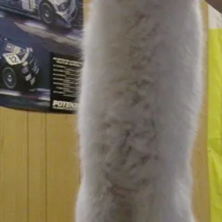 2⃣ 9c8d7b70 telegram sticker