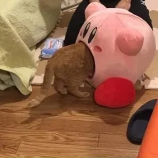 Gatinhos da Mand telegram stickers