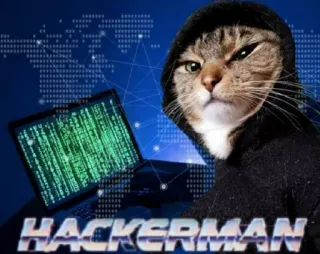 👾 b3e16d65 HACKERMAN 猫, ハッカー, テクノロジー, インターネット, コーディング, プログラミング, ミーム, 動物 telegram sticker