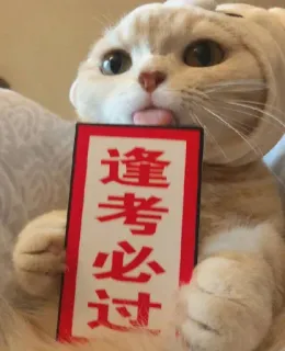 😻 bbaa9925 逢考必过 kucing, stiker, meme, semoga berhasil, ujian, imut telegram sticker