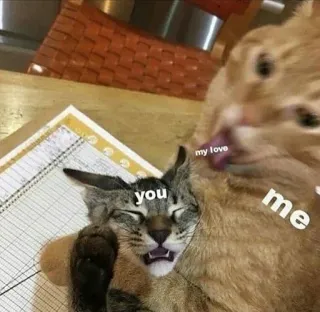 👅 5c2d604c you
my love
me gato, meme, amor, mascota, animal, cariño telegram sticker