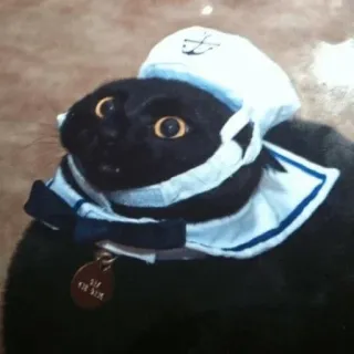 ⚓️ 956ff2fe Rip Van Mew gato, marinero, sombrero, mascota, animal, lindo, divertido, miau, Rip Van Winkle telegram sticker