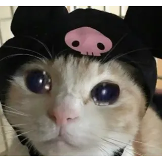 Gatti tristi telegram stickers