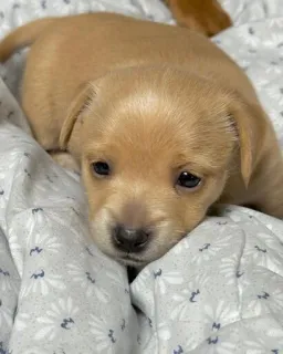 mili @huysor1 telegram stickers