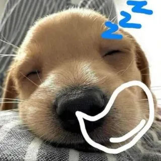 💤 388a2f7f anjing, anak anjing, tidur, imut, hewan telegram sticker