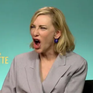 🏳‍🌈 120be6fc Cate Blanchett attore, ritratto, urlando, donna, celebrità telegram sticker
