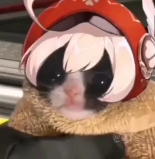 🌟 11e800fd Klee Genshin Impact кли, геншин импакт, кот, аниме, персонаж игры, смешно, мем telegram sticker