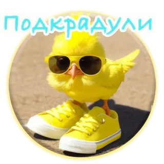 💃 178a8209 ПОДКРАДУЛИ Küken, Sonnenbrille, Schuhe, Sneakers, niedlich, Tier, Cartoon telegram sticker