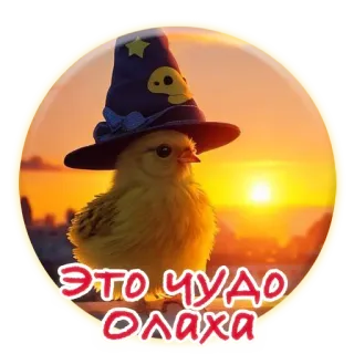 🌙 868e69af ЭТО ЧУДО ОЛАХА Huhn, Zauberhut, Sonnenuntergang, süß, Tier, Küken telegram sticker