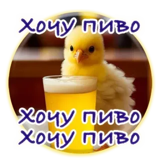 🙃 8cd76441 хочу пиво Küken, Bier, Getränk, will, Humor, süß, Alkohol telegram sticker
