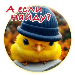 🦃 a4a0e40f А если найду? vogel, küken, süß, tier, hut, lustig telegram sticker