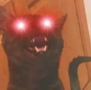 🌟 1b8ff9a9 gato, enojado, meme, ojos rojos, animal telegram sticker