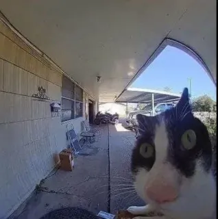 Больше стиков тут: @stikery4 whatsapp stickers