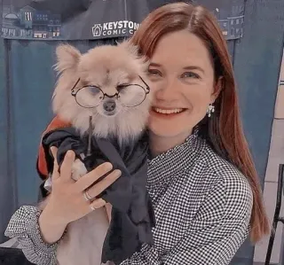 💗 19321976 cane, donna, harry potter, occhiali, animale domestico, ritratto telegram sticker