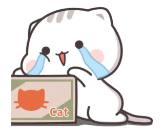 😿 e152ee08 Cat кот, плачет, коробка, грустный, животное, котенок telegram sticker