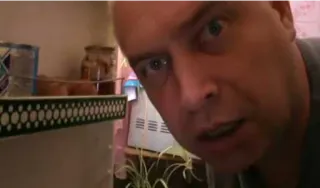 🥚 25899d34 telegram sticker