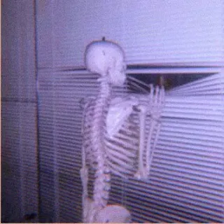 🦴 8cc90522 해골, 창문, 소름, 뼈, 해부학 telegram sticker