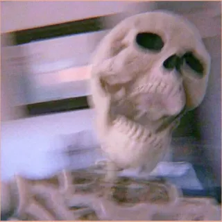 🦴 9c64b9ef 해골, 해부학, 두개골, 할로윈, 뼈 telegram sticker