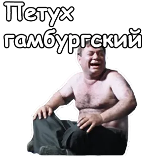 😂 896c3ef7 Петух
Гамбургский homem, sentado, russo, sem camisa whatsapp sticker