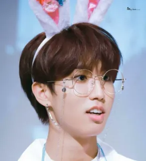 🤓 b81f6cc4 人物, 眼镜, 兔耳朵, 韩知城, 偶像, 韩流 telegram sticker