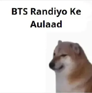 🌟 9272f253 BTS Randiyo Ke Aulaad chó, lăng mạ, xúc phạm whatsapp sticker