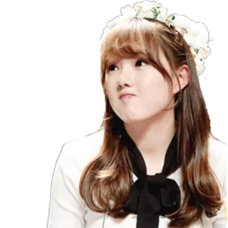 😕 97ed7697 telegram sticker