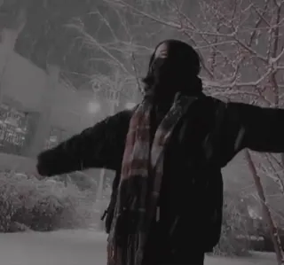 ❤ 1fd9fd49 tuyết, mùa đông, người, ngoài trời, khăn quàng cổ, lạnh telegram sticker