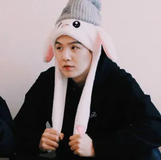 🐰 0ff02383 telegram sticker