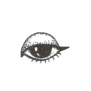 Ghazaleh Naghibi telegram stickers