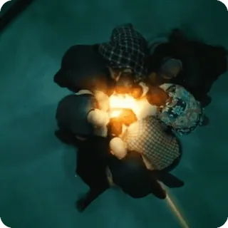 🌟 a961f7cb битва, бой, конфликт, война, военные telegram sticker