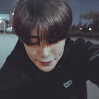 📸 17507879 telegram sticker