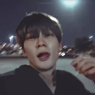 📸 775bee6b telegram sticker