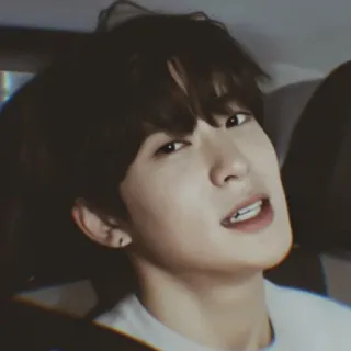 📸 db8c6114 telegram sticker