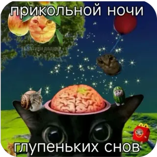 🫥 0130a70e прикольной ночи глупеньких снов gatto, divertente, surreale, notte, sogni, animale whatsapp sticker