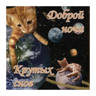 🫥 2477703e Доброй ночи Крутых снов gatto, spazio, notte, buonanotte, stelle, pianeti whatsapp sticker
