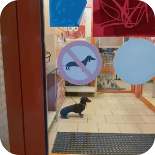 🫥 439e7641 cane, bassotto, vietato cani, vietato, cartello whatsapp sticker