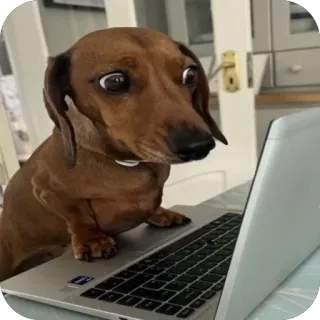 Пasetko :: @fStikBot telegram stickers