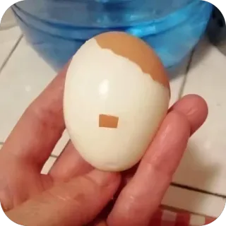 👍 8bddbd9b uovo, cibo, cucina, sgusciato, mano, bollito whatsapp sticker