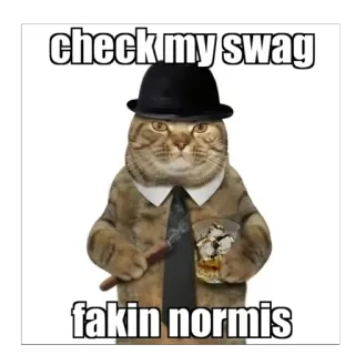 🫥 ba280d09 check my swag
fakin normis gatto, figo, divertente, meme, sigaro, alcol, cappello, cravatta whatsapp sticker