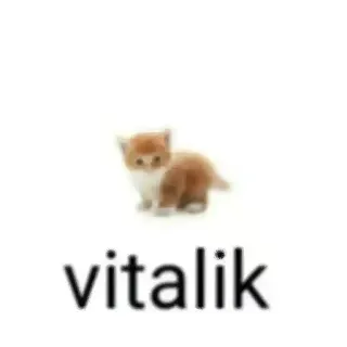🐱 c7f63a54 vitalik gatto, gattino, carino, vitalik whatsapp sticker