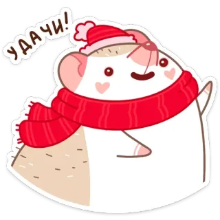 🤞 15147e58 УДАЧИ! ハリネズミ, 冬, 帽子, マフラー, 幸運, かわいい telegram sticker