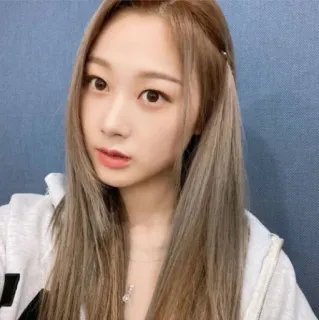 ✨ 3bd5422f telegram sticker