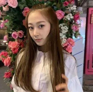 ✨ c8b33669 femme, fleurs, portrait, fille, roses telegram sticker