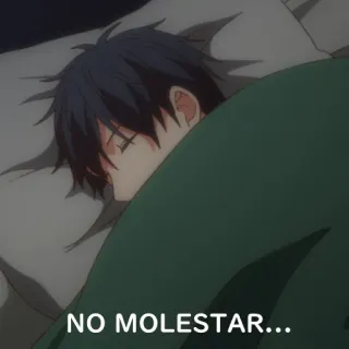 😴 c637f7de NO MOLESTAR... 睡觉, 动漫, 床, 请勿骚扰, 请勿打扰, 西班牙语 whatsapp sticker