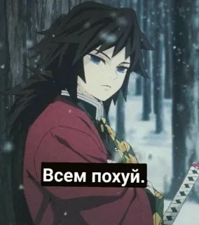 🌟 742bd213 Giyu Tomioka Demon Slayer Всем похуй. Аниме, Клинок, рассекающий демонов, Гию Томиока, Сарказм, Оскорбительный whatsapp sticker