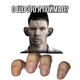 😳 6156ea3b О шо это я поймал? telegram sticker