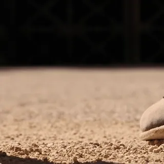 ✋ 239c9d36 telegram sticker