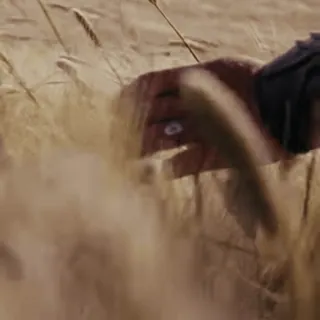 🖐 baa9c37a telegram sticker